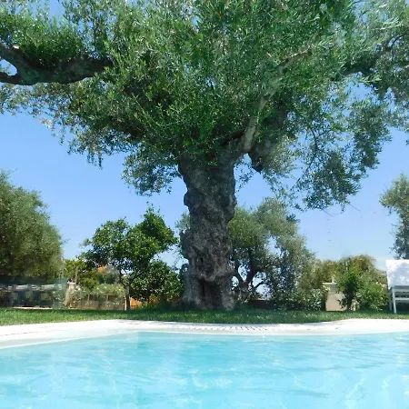 Ξενοδοχείο Orea Superior Κυψέλη